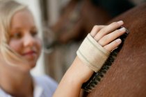 Young woman grooming horse — Stock Photo