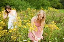 Young women picking flowers in countryside — Stock Photo