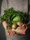 Cropped shot of woman holding wooden crate of vegetables — Stock Photo