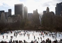 Льодовиковий спорт у Центральному парку, Нью - Йорк, США — стокове фото