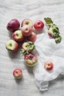Manzanas frescas sobre mantel blanco - foto de stock
