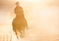 Silhueta de homem montando cavalo no campo — Fotografia de Stock