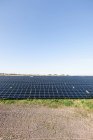 Centrale photovoltaïque de Senftenberg Solarpark — Photo de stock