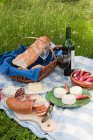 Pique-nique français avec baguette, fromage de chèvre, saucisses et bouteille de vin sur couverture — Photo de stock