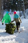 Couple dragging christmas tree through snow — Stock Photo