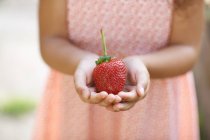Child holding fresh strawberry in hands — Stock Photo