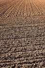 Campi arati, fasce a terra in azienda agricola — Foto stock