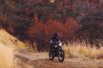 Mann fährt Motorrad, Mammutbaum-Nationalpark, Kalifornien, Vereinigte Staaten — Stockfoto