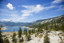 Vista de alto ángulo de árboles y lago, Parque Nacional High Sierra, California, EE.UU. - foto de stock