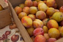 Crates of ripe plums — Stock Photo