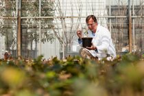 Uomo ispezionare le piante in vivaio — Foto stock