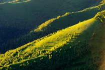 Dettaglio valle verde, Parco Naturale Bolshoy Thach, Montagne Caucasiche, Repubblica di Adygea, Russia — Foto stock