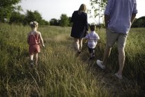 Вид ззаду серед дорослих батьків, що гуляють на лузі хлопчик і дівчинка — стокове фото