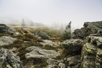 Nevoeiro na montanha Arber, Bodenmais, Baviera, Alemanha — Fotografia de Stock