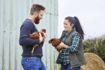 Pareja joven en granja de pollos sosteniendo pollos - foto de stock