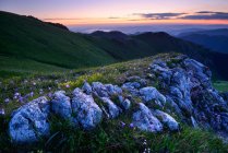 Paisaje con rocas y flores silvestres al atardecer, Parque Natural Bolshoy Thach, Montañas Caucásicas, República de Adigea, Rusia - foto de stock