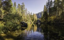 Vista panoramica con fiume foresta, Yosemite National Park, California, Stati Uniti d'America — Foto stock