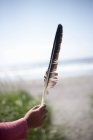 Cropped image of Child holding a feather — Stock Photo