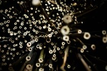 Perspective décroissante du bois de bambou sur fond noir, abstrait — Photo de stock