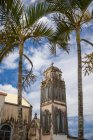 Church bell tower and palm trees, Reunion Island — Stock Photo