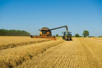 Tractor y cosechadora cosechadora cosecha campo de trigo - foto de stock