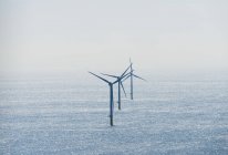 Море з вітровими турбінами в яскравому сонячному світлі — стокове фото