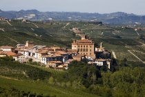 Observación de viñedos, Barolo, Langhe, Piamonte, Italia - foto de stock