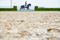 Vista distante del trotto del cavaliere mentre allena il cavallo da dressage nell'arena equestre — Foto stock
