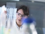 Investigador sosteniendo un gel de ADN durante un experimento genético en un laboratorio - foto de stock