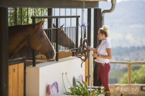 Junge Pflegerin hütet Pferde in ländlichen Ställen — Stockfoto