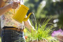 Cropped view of woman watering plants in garden — Stock Photo