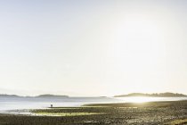 Vista lejana de la pareja en la playa en Rathrevor Beach Provincial Park, Vancouver Island, Columbia Británica, Canadá - foto de stock