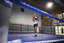 Young male boxer standing poised in boxing ring — Stock Photo