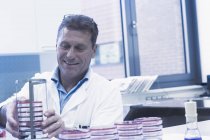 Scienziato organizzare capsule di Petri in rack — Foto stock
