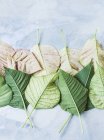 Studio shot, overhead view of leaves upside down in rows — Stock Photo