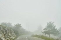 Paysage et route rurale déserte brumeuse, Gourdon, Alpes Maritimes, France — Photo de stock