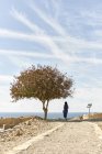 Woman standing at tree and looking at sea, Cyprus — Stock Photo