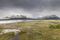 Montagnes enneigées à travers les zones humides, Bird Point, Seward Highway, Alaska, USA — Photo de stock