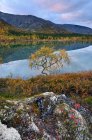 Paysage coloré d'automne aux lacs polygonaux, montagnes Khibiny, péninsule de Kola, Russie — Photo de stock