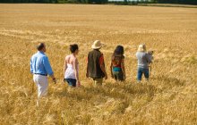 Group of adults walking through field, rear view — Stock Photo
