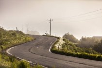 Mist winding open road surrounded by greenery — Stock Photo