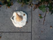 Vista dall'alto del gelato sulla strada — Foto stock