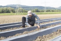 Agricoltore installazione di pellicola di fumigazione del suolo al campo arato — Foto stock