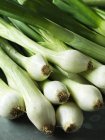 Close up of ripe green Spring onions — Stock Photo