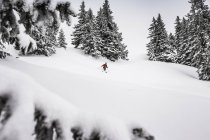 Hombre esquiando cuesta abajo en Kranzegg, Baviera, Alemania - foto de stock