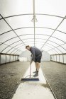Scientist sweeping path in plant growth research centre poly tunnel — Stock Photo