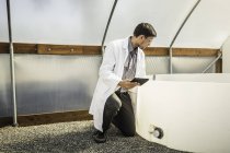 Scientist inspecting water butt in plant growth research centre poly tunnel — Stock Photo