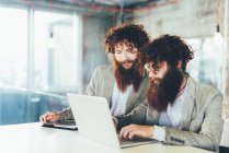 Male hipster twins working on laptop at office desk — Stock Photo