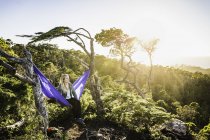 Female hiker looking out from hammock, Pacific Rim National Park, Vancouver Island, British Columbia, Canada — Stock Photo