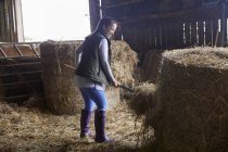 Femme dans la grange pelletage foin — Photo de stock